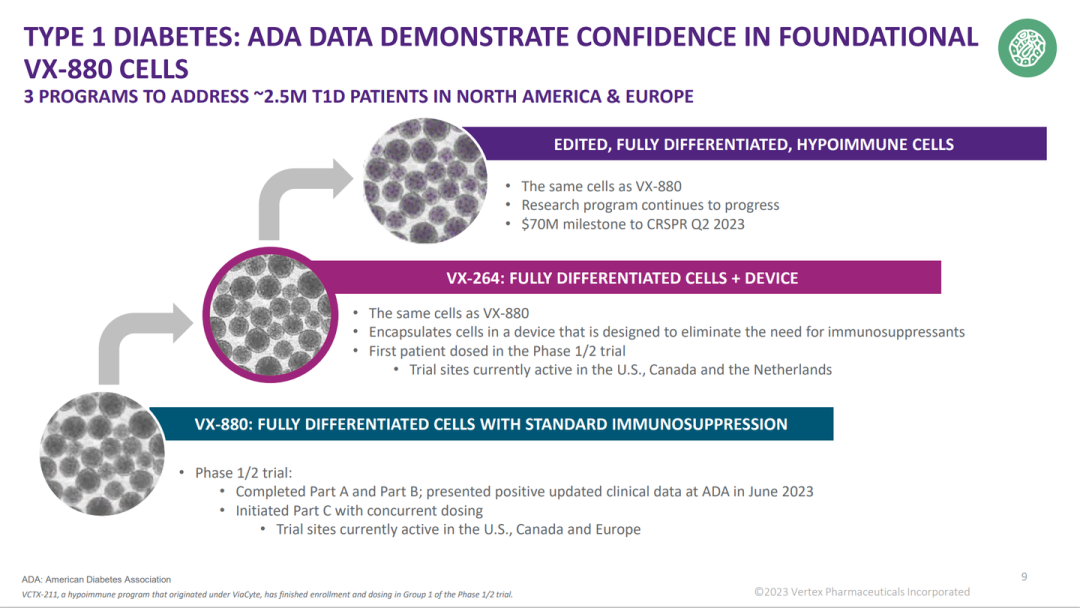 圖1：VERTEX糖尿病干細胞管線(xiàn)