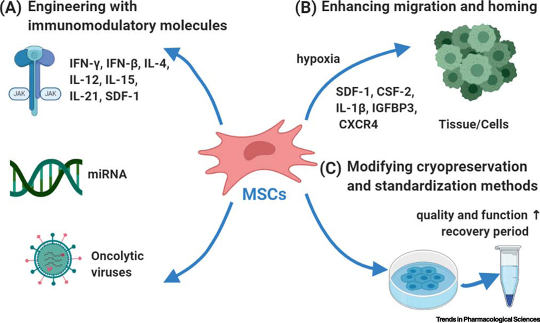 圖2：提升間充質(zhì)干細胞應用效果的三大策略