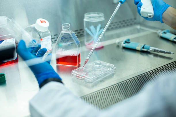 什么是再生醫學(xué)技術(shù)：如何開(kāi)啟治療和康復的未來(lái)