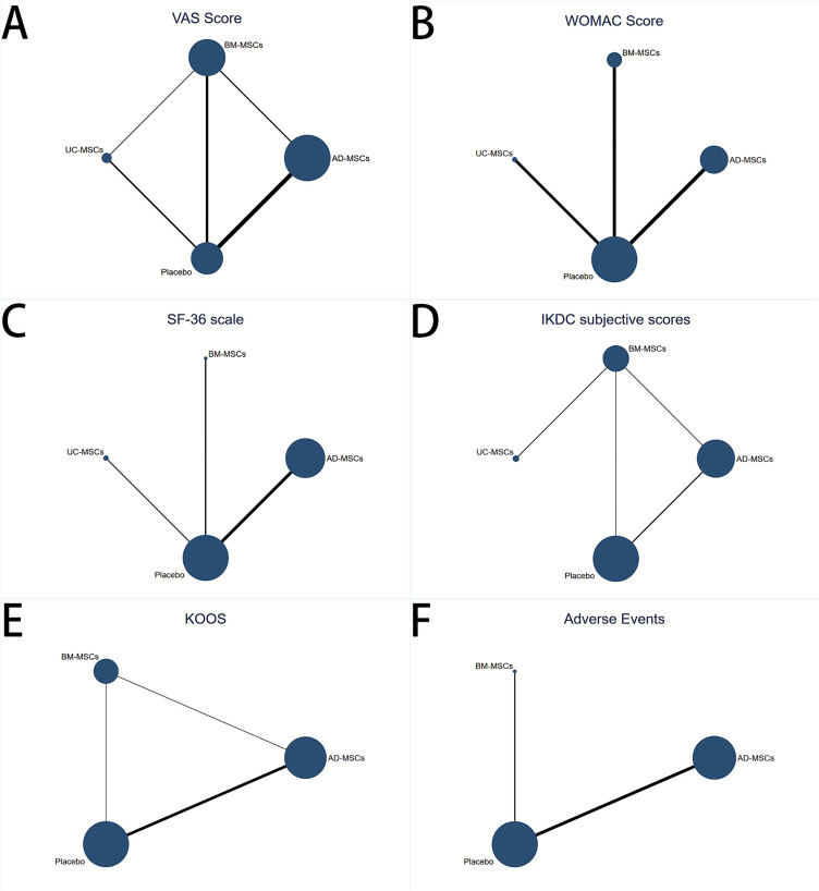 圖3：符合條件的研究的網(wǎng)絡(luò )幾何形狀。
