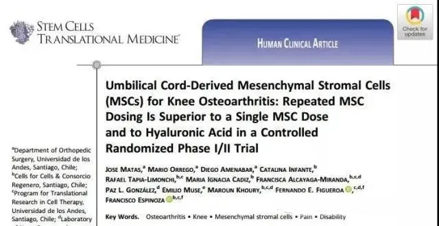 臍帶間充質(zhì)基質(zhì)細胞 (MSC) 治療膝骨關(guān)節炎：在一項隨機對照 I/II 期試驗中，重復 MsC 給藥優(yōu)于單次 MsC 給藥和透明質(zhì)酸