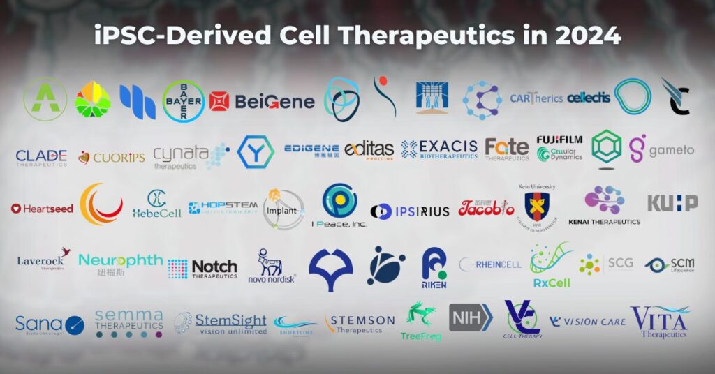 2024年研發(fā)iPSC細胞治療的公司有哪些？有哪些臨床試驗項目？
