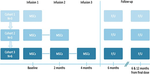 本研究是一項I期開(kāi)放標簽劑量遞增試驗，研究對象為患有ASD的幼兒，靜脈輸注一次、兩次或三次hCT-MSC