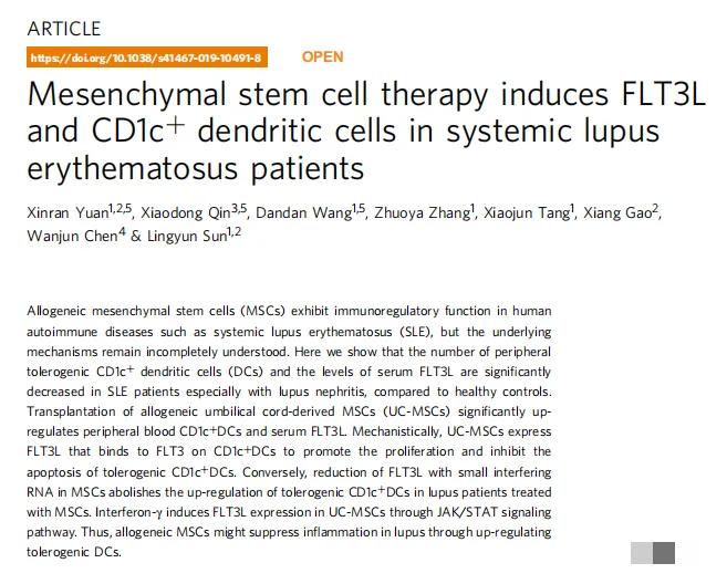 間充質(zhì)干細胞治療系統性紅斑狼瘡患者誘導 FLT3L 和 CD1c+ 樹(shù)突狀細胞