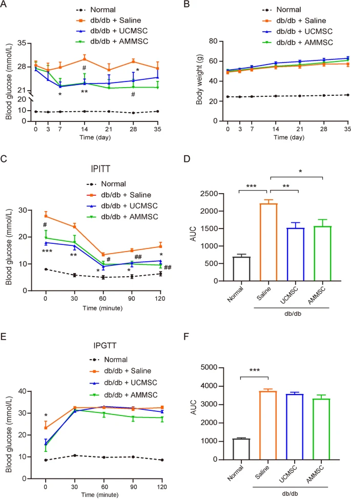 圖1：小鼠在A(yíng)MMSC或UCMSC給藥后的代謝表型。