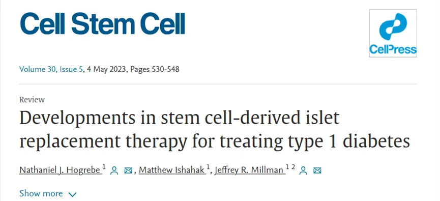 干細胞來(lái)源的胰島替代療法治療 1 型糖尿病的進(jìn)展