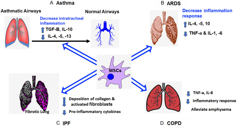 圖1：MSCs在主要肺部疾病和病癥中的主要功能總結。