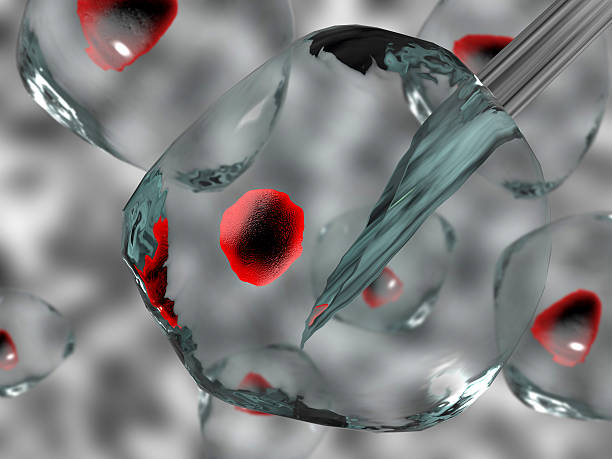 抑郁癥的治療方式有哪些？