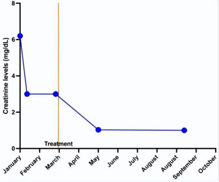 在6個(gè)月隨訪(fǎng)時(shí)，患者顯示血壓讀數正常(120/80 mmHg)。