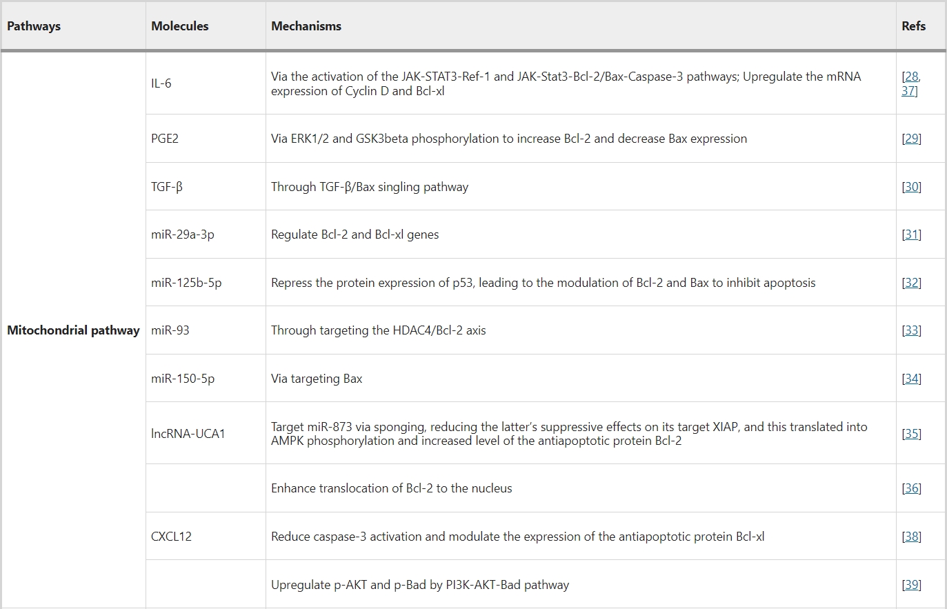 內源性途徑（線(xiàn)粒體通路）