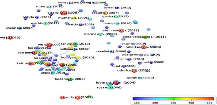 圖6：129篇干細胞治療1型糖尿病高引用出版物的引用計數網(wǎng)絡(luò )可視化