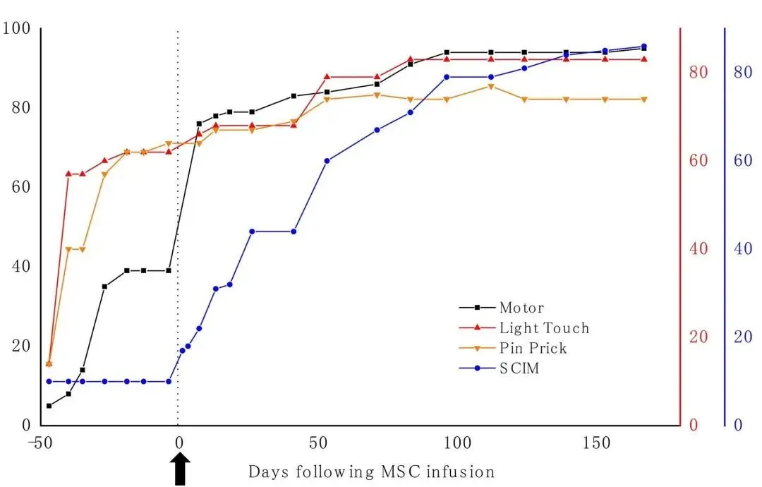 干細胞治療脊髓損傷的治療效果如何？