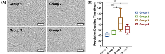 健康組（第1組）和2型糖尿病患者的自體骨髓來(lái)源間充質(zhì)干細胞（BM-MSCs）的表征對比