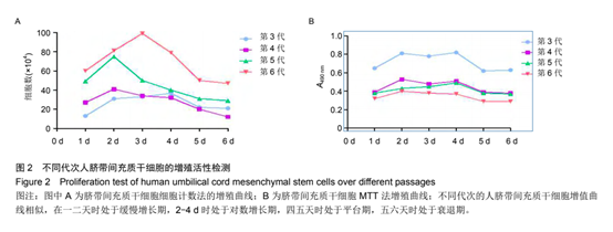 不同代次人臍帶間充質(zhì)于細胞的增殖活性檢測
