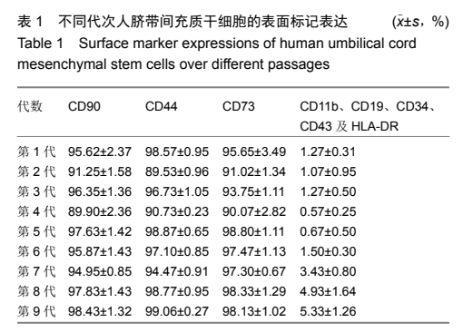 不同代次人臍帶間充質(zhì)干細胞的表面標記表達