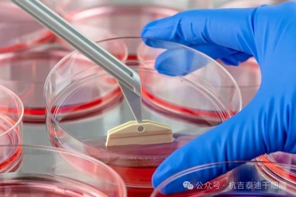 什么是干細胞療法？