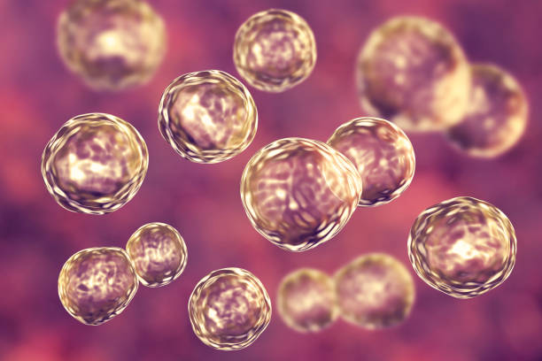 中國的人類(lèi)多能干細胞生物庫的發(fā)展要迎來(lái)拐點(diǎn)了嗎？