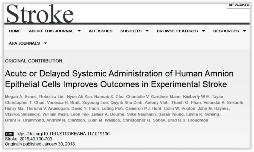 急性或延遲全身給藥羊膜上皮細胞改善實(shí)驗性腦卒中的預后
