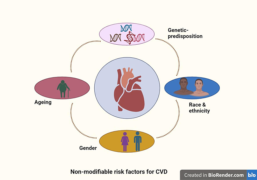 圖1：心血管疾病的不可改變的風(fēng)險因素。