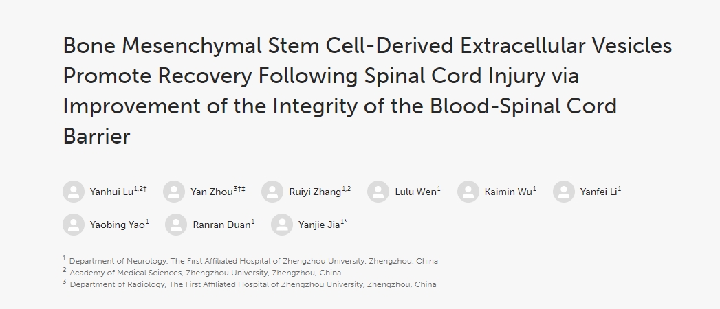 骨髓間充質(zhì)干細胞衍生的細胞外囊泡通過(guò)改善血脊髓屏障的完整性促進(jìn)脊髓損傷后的恢復