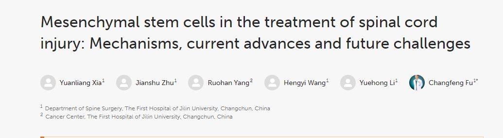 間充質(zhì)干細胞治療脊髓損傷：機制、當前進(jìn)展和未來(lái)挑戰