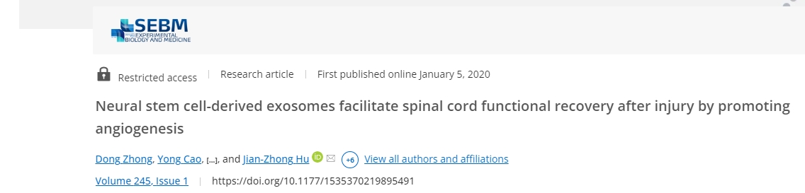 神經(jīng)干細胞衍生的外泌體通過(guò)促進(jìn)血管生成促進(jìn)損傷后脊髓功能恢復