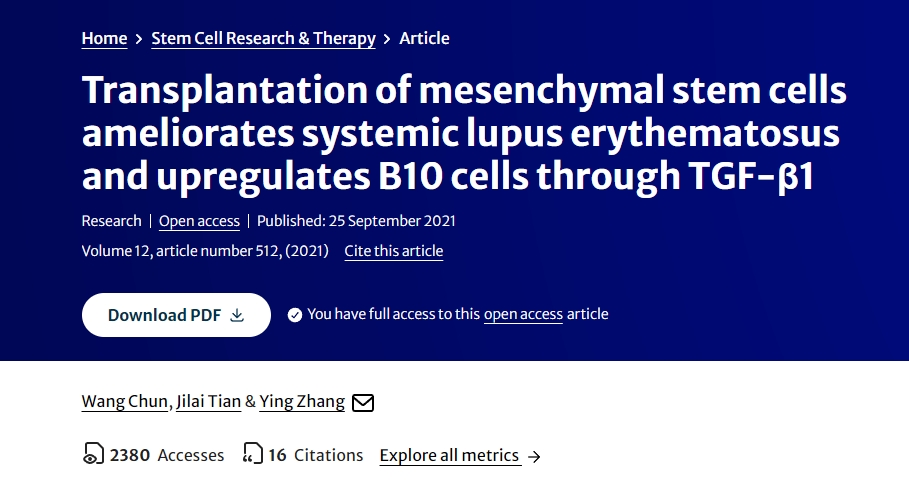 間充質(zhì)干細胞移植可改善系統性紅斑狼瘡并通過(guò) TGF-β1 上調 B10 細胞