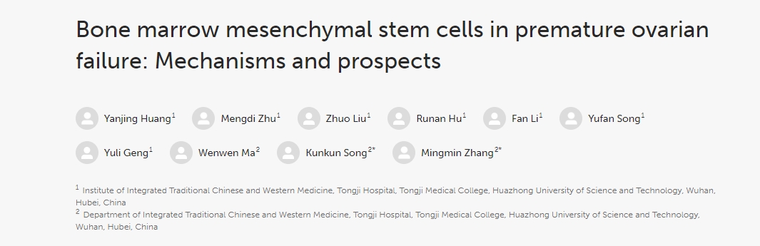 骨髓間充質(zhì)干細胞在卵巢早衰中的作用:機制與前景 骨髓間充質(zhì)干細胞在卵巢早衰中的作用:機制與前景