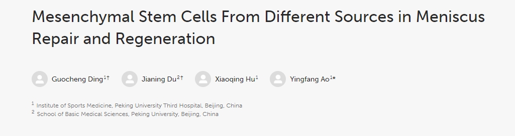 不同來(lái)源的間充質(zhì)干細胞在半月板修復和再生中的作用