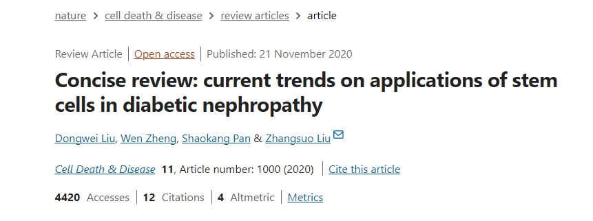 簡(jiǎn)述：干細胞在糖尿病腎病中的應用現狀