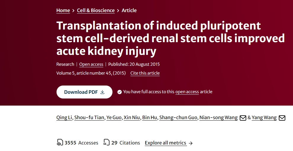 誘導性多能干細胞來(lái)源的腎干細胞移植改善急性腎損傷