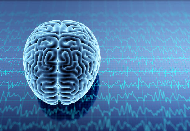 胚胎、神經(jīng)、誘導多能、間充質(zhì)干細胞治療神經(jīng)系統疾病的研究進(jìn)展