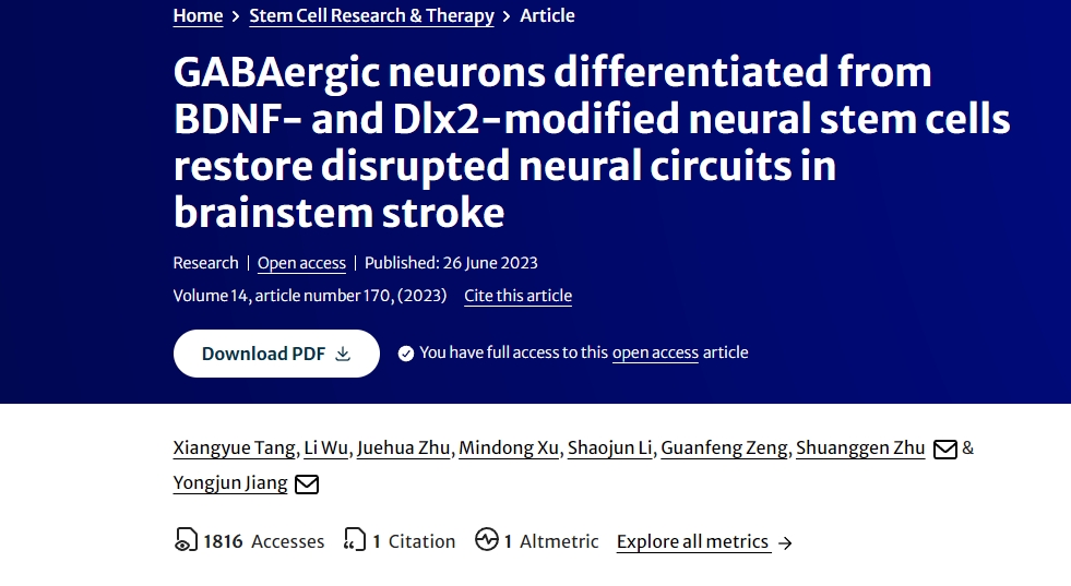 由BDNF和Dlx2修飾的神經(jīng)干細胞分化而來(lái)的GABA能神經(jīng)元可修復腦干中風(fēng)時(shí)受損的神經(jīng)回路