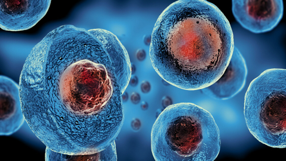 干細胞治療類(lèi)風(fēng)濕關(guān)節炎的作用機制