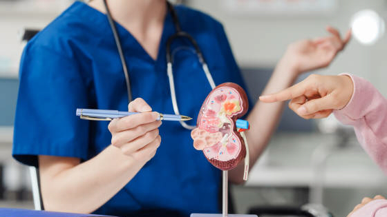 干細胞治療糖尿病腎病的流程