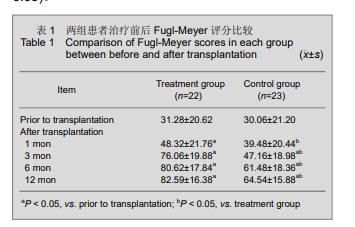 肢體運動(dòng)功能