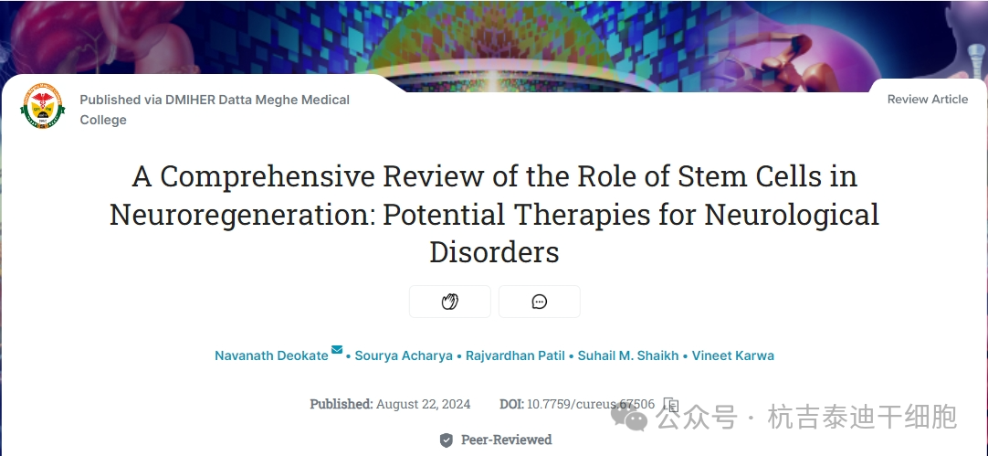 干細胞作用機制之一（神經(jīng)再生）：成為治療神經(jīng)系統疾病的潛在療法