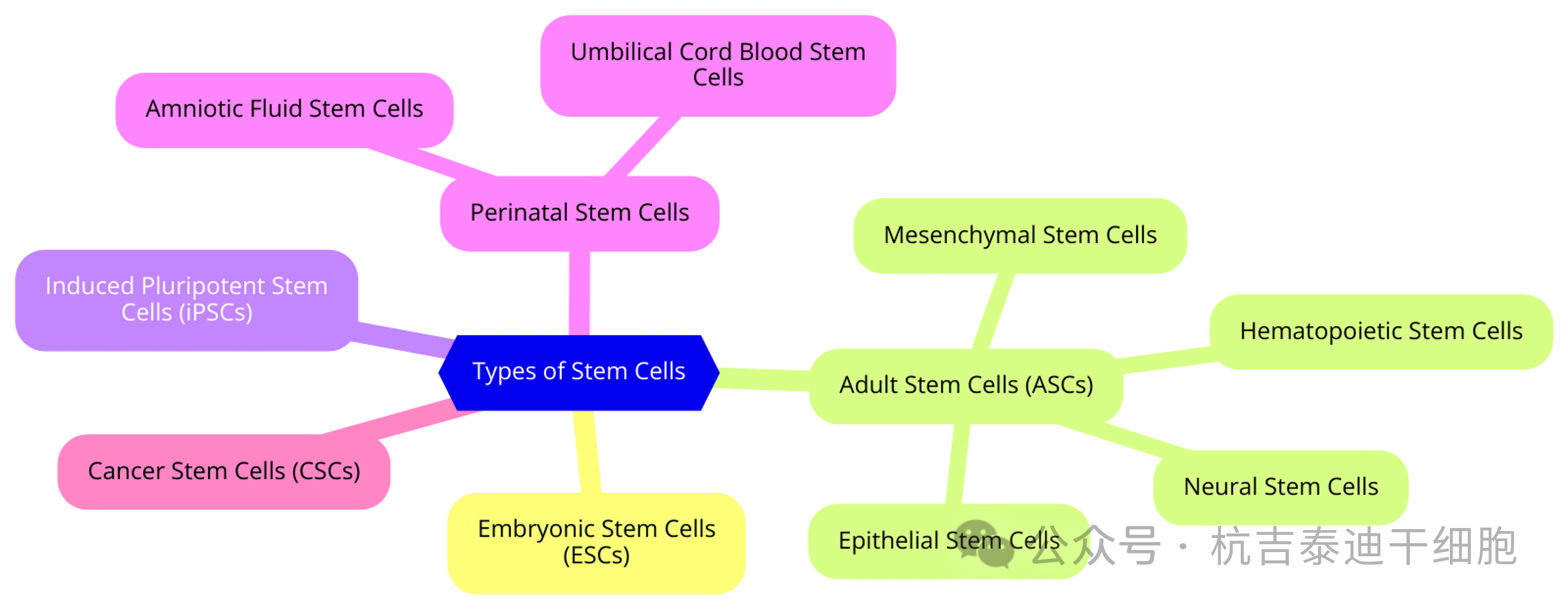 圖1：干細胞的類(lèi)型