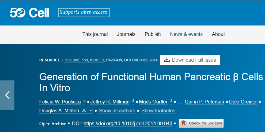 體外生成功能性人類(lèi)胰腺 β 細胞