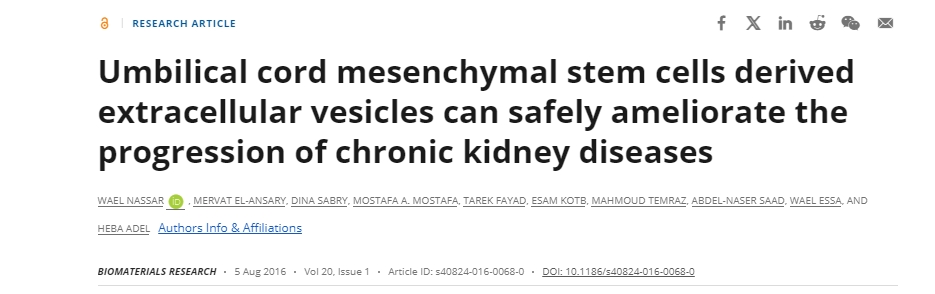 臍帶間充質(zhì)干細胞衍生的細胞外囊泡可以安全地改善慢性腎臟疾病的進(jìn)展