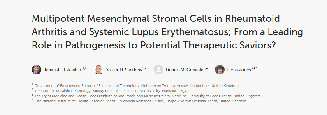《類(lèi)風(fēng)濕性關(guān)節炎和系統性紅斑狼瘡中的多能間充質(zhì)基質(zhì)細胞；從發(fā)病機制中的主導作用到潛在的治療救星？》
