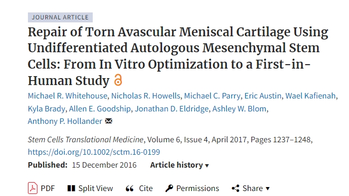 使用未分化自體間充質(zhì)干細胞修復撕裂的無(wú)血管半月板軟骨：從體外優(yōu)化到首次人體研究