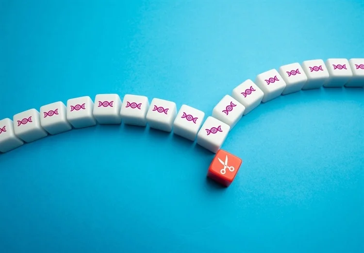 科學(xué)家利用尖端干細胞和基因編輯技術(shù)推進(jìn)1型糖尿病治療