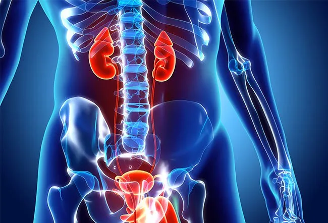 您通?？梢越档突寄I病的風(fēng)險或阻止其進(jìn)展。