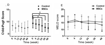 人臍帶間充質(zhì)干細胞（hUC-MSC）治療對肝硬化失代償期腹水患者腎功能、凝血功能及Child-Pugh和MELD評分的影響