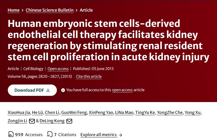 人類(lèi)胚胎干細胞衍生的內皮細胞療法通過(guò)刺激急性腎損傷中腎臟駐留干細胞增殖促進(jìn)腎臟再生