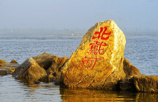 院士領(lǐng)銜，細胞療法“駛入”北戴河！療養勝地開(kāi)啟醫療創(chuàng  )新新篇章