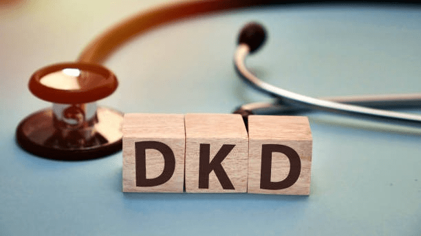 4類(lèi)間充質(zhì)干細胞及其衍生的外泌體在糖尿病腎病中的作用