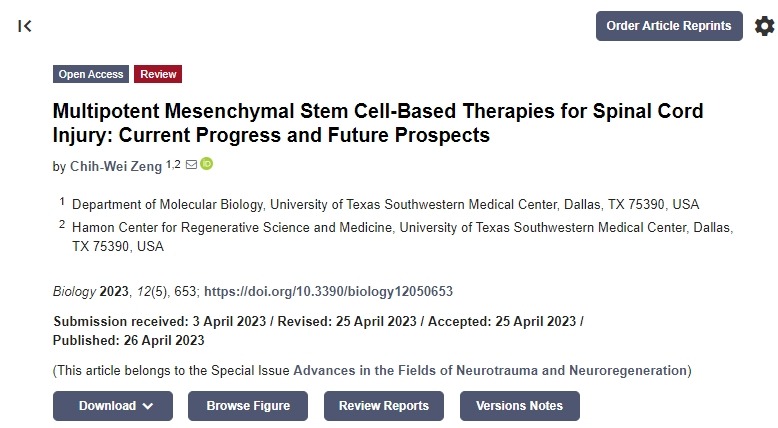 間充質(zhì)干細胞治療脊髓損傷：目前的進(jìn)展和未來(lái)的前景