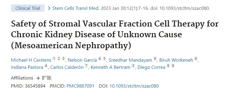 基質(zhì)血管成分細胞療法治療原因不明的慢性腎?。ㄖ忻乐弈I?。┑陌踩? class=
